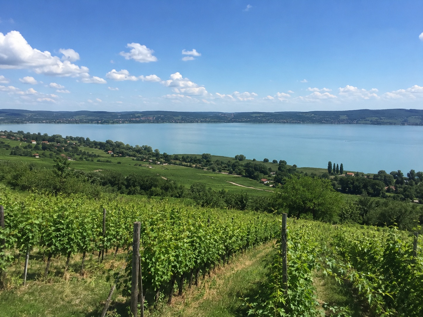 Ländliche Landschaft in Ungarn als Eindruck für das Wohnen rund um Attala