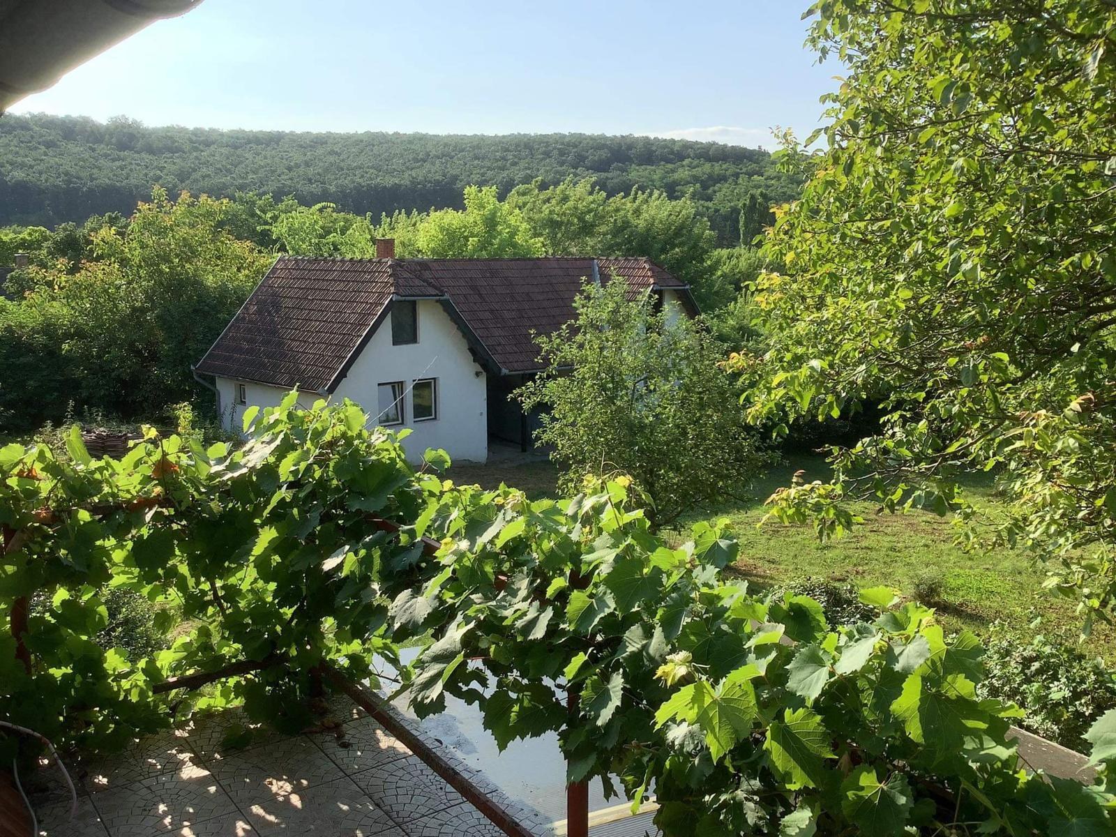 Weite Aussicht über Tal und Wälder