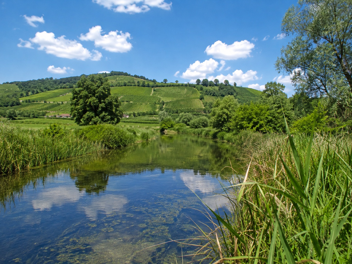 Ländliche Landschaft in Ungarn als Eindruck für das Wohnen rund um Dalmand
