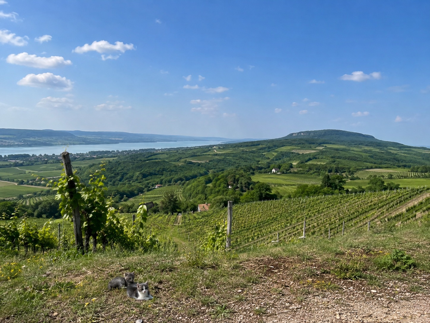 Ländliche Landschaft in Ungarn als Eindruck für das Wohnen rund um Értény