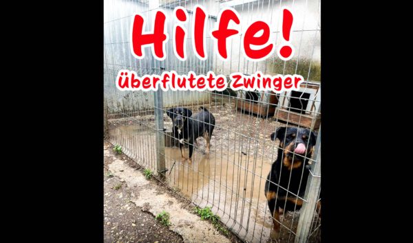 Hilfe
