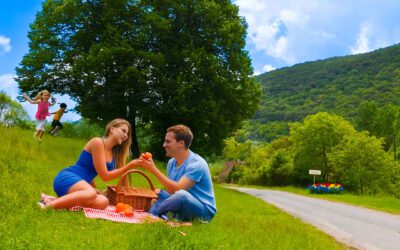 Lebensqualität in Vindornyalak: Geschichte, Natur und Ruhe in einem