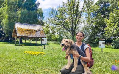 Zalavar – auch als *nochnicht Rentner* Frieden und Gemeinschaft finden