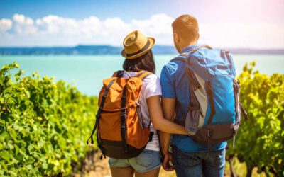 Wandern in Nagykanizsa – Natur & Kultur am Kis-Balaton