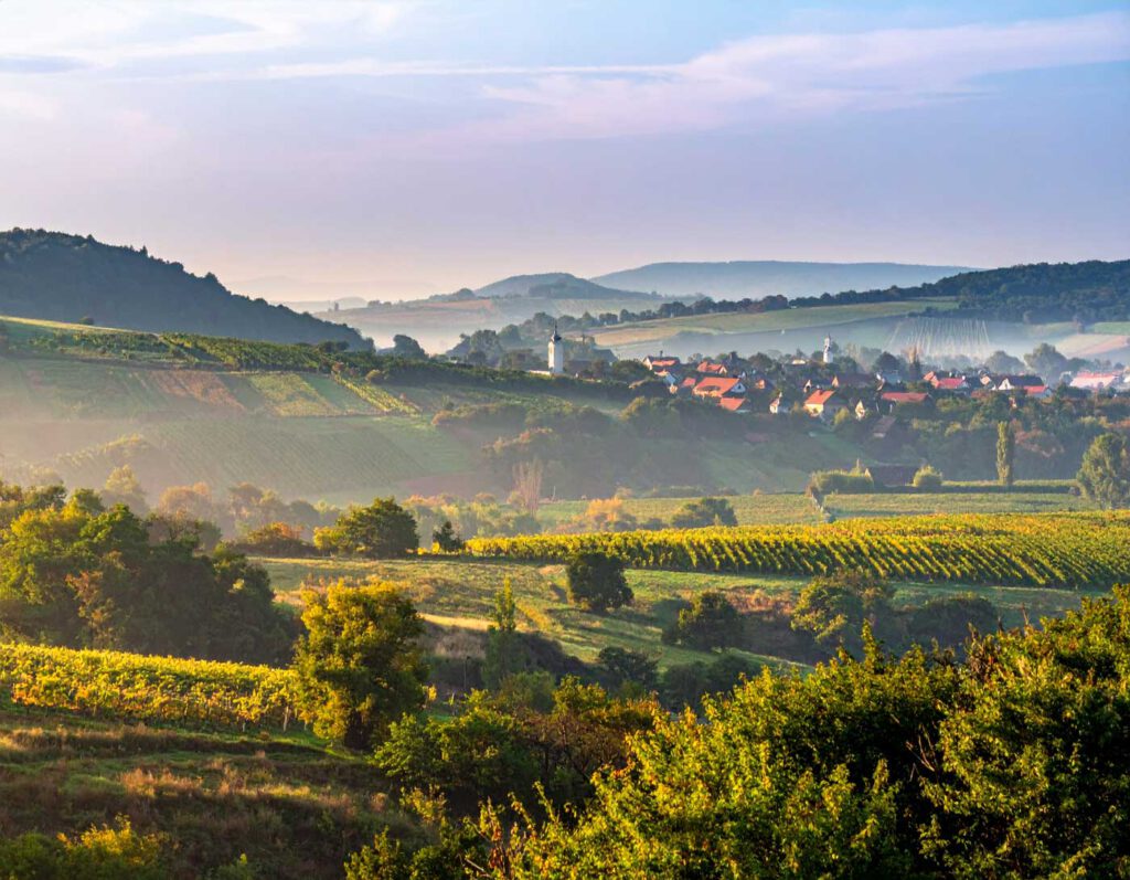 Sanfte Hügellandschaft mit Weinbergen und einem Dorf im Morgenlicht wie im Komitat Zala im Südwesten Ungarns