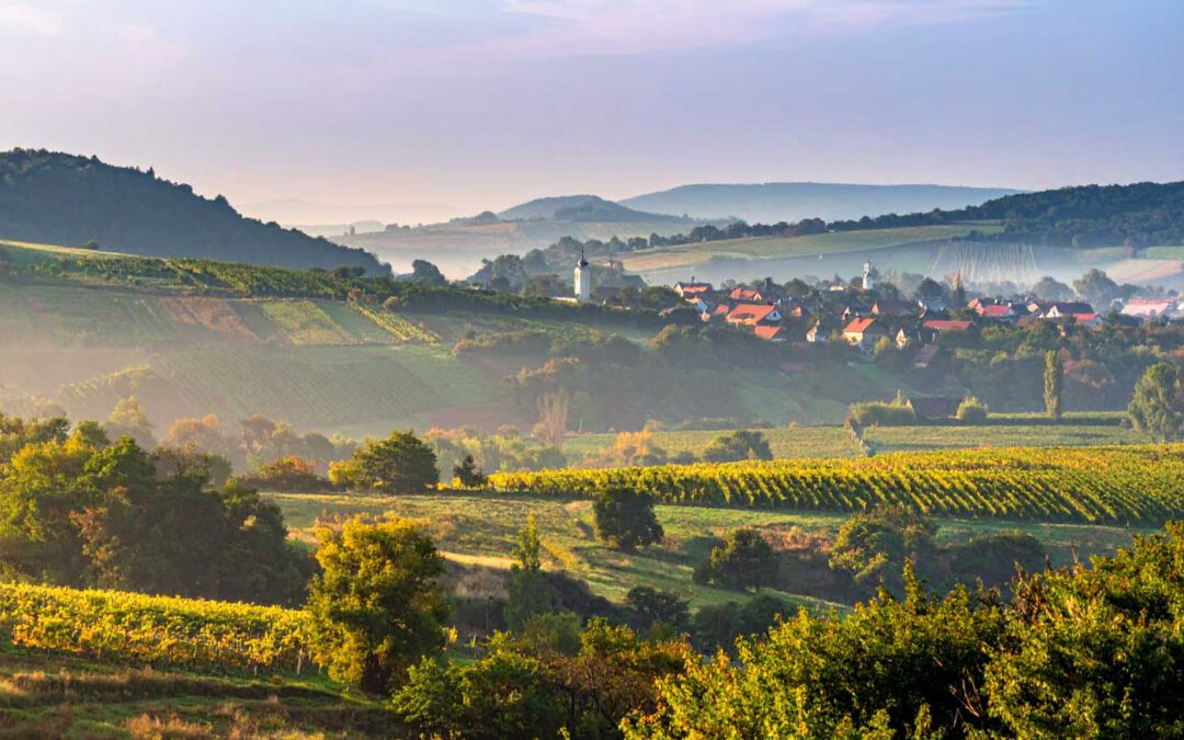 Komitat Zala (Ungarn): Städte, Leben, Kosten & Immobilien