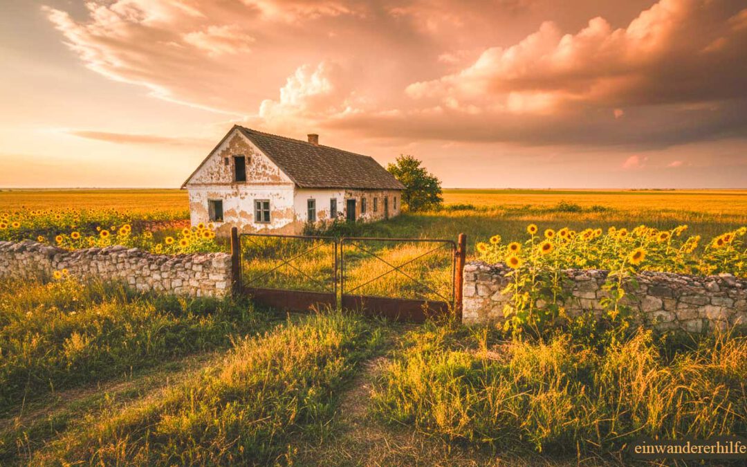 Warum sind Häuser in Ungarn so günstig – verlassenes Bauernhaus in der Puszta mit Sonnenblumen bei Sonnenuntergang