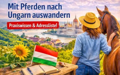 Mit Pferden nach Ungarn – Tipps von erfahrenen Auswanderern